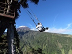 TREE HOUSE